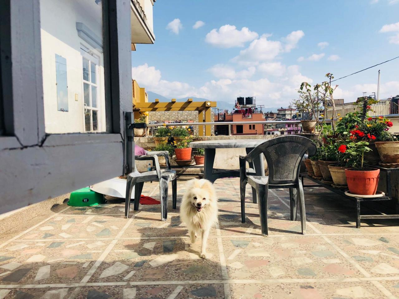 Kaji Home Lalitpur Zewnętrze zdjęcie